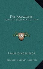 Die Amazone: Roman In Zwolf Kapiteln (1877)