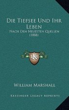 Die Tiefsee Und Ihr Leben: Nach Den Neuesten Quellen (1888)