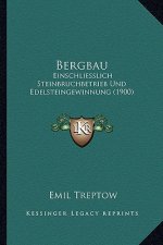 Bergbau: Einschliesslich Steinbruchbetrieb Und Edelsteingewinnung (1900)