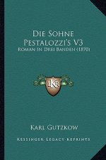 Die Sohne Pestalozzi's V3: Roman In Drei Banden (1870)