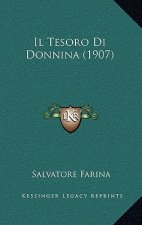 Il Tesoro Di Donnina (1907)