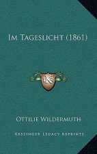 Im Tageslicht (1861)