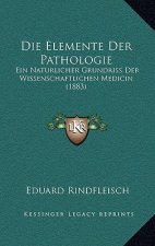 Die Elemente Der Pathologie: Ein Naturlicher Grundriss Der Wissenschaftlichen Medicin (1883)
