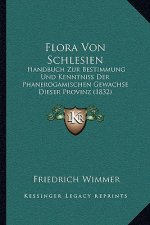 Flora Von Schlesien: Handbuch Zur Bestimmung Und Kenntniss Der Phanerogamischen Gewachse Dieser Provinz (1832)