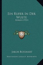 Ein Rufer In Der Wuste: Roman (1921)