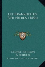 Die Krankheiten Der Nieren (1856)