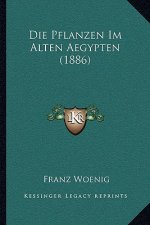 Die Pflanzen Im Alten Aegypten (1886)