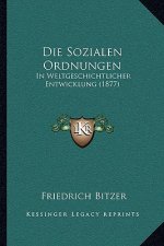 Die Sozialen Ordnungen: In Weltgeschichtlicher Entwicklung (1877)