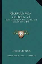 Gaspard Von Coligny V1: Sein Leben Und Das Frankreich Seiner Zeit (1892)