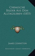 Chemische Bilder Aus Dem Alltagsleben (1855)