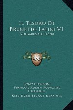 Il Tesoro Di Brunetto Latini V1: Volgarizzato (1878)