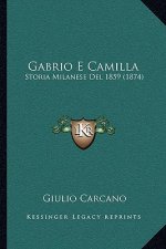 Gabrio E Camilla: Storia Milanese Del 1859 (1874)