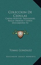 Coleccion De Cedulas: Cartas-Patentes, Provisiones, Reales Ordenes Y Otros Documentos V2: Condado Y Senorio De Vizcaya (1829)