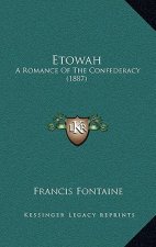 Etowah: A Romance Of The Confederacy (1887)