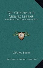 Die Geschichte Meines Lebens: Vom Kind Bis Zum Manne (1893)