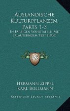 Auslandische Kulturpflanzen, Parts 1-3: In Farbigen Wandtafeln Mit Erlauterndem Text (1906)