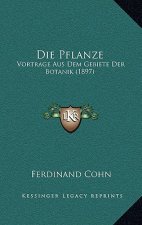 Die Pflanze: Vortrage Aus Dem Gebiete Der Botanik (1897)