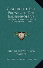 Geschichte Der Fronhofe, Der Bauernhofe V3: Und Der Hofverfassung In Deutschland (1863)
