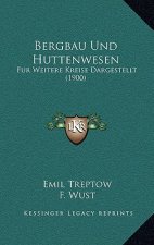 Bergbau Und Huttenwesen: Fur Weitere Kreise Dargestellt (1900)