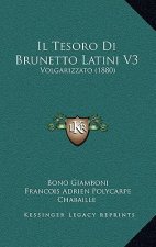 Il Tesoro Di Brunetto Latini V3: Volgarizzato (1880)