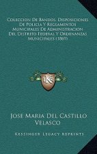 Coleccion De Bandos, Disposiciones De Policia Y Reglamentos Municipales De Administracion Del Distrito Federal Y Ordenanzas Municipales (1869)