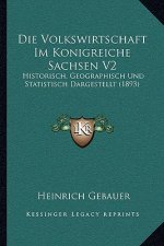 Die Volkswirtschaft Im Konigreiche Sachsen V2: Historisch, Geographisch Und Statistisch Dargestellt (1893)