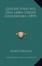 Geschichten Aus Dem Leben Dreier Grosswesire (1899)