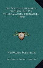 Die Polydimensionalen Grossen Und Die Vollkommenen Primzahlen (1880)