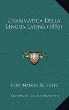 Grammatica Della Lingua Latina (1896)