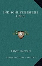 Indische Reisebriefe (1883)