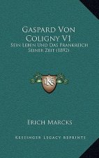 Gaspard Von Coligny V1: Sein Leben Und Das Frankreich Seiner Zeit (1892)