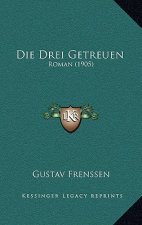 Die Drei Getreuen: Roman (1905)