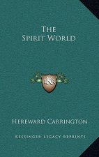 The Spirit World