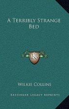 A Terribly Strange Bed