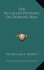 The So-Called Divining Or Dowsing Rod