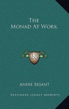The Monad at Work