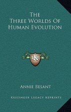 The Three Worlds of Human Evolution
