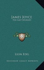 James Joyce: The Last Journey
