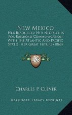 New Mexico: Her Resources; Her Necessities for Railroad Communication with the Atlantic and Pacific States; Her Great Future (1868