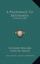 A Pilgrimage to Beethoven: A Novel (1909)