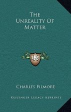 The Unreality Of Matter