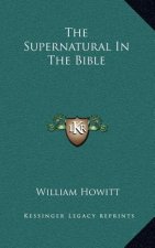 The Supernatural in the Bible