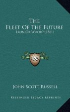 The Fleet of the Future: Iron or Wood? (1861)