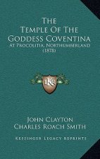 The Temple Of The Goddess Coventina: At Procolitia, Northumberland (1878)
