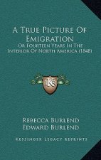 A True Picture Of Emigration: Or Fourteen Years In The Interior Of North America (1848)