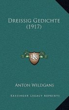 Dreissig Gedichte (1917)
