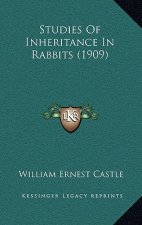 Studies Of Inheritance In Rabbits (1909)
