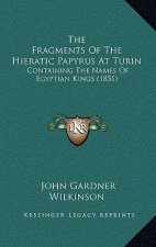 The Fragments Of The Hieratic Papyrus At Turin: Containing The Names Of Egyptian Kings (1851)