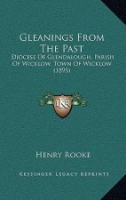 Gleanings From The Past: Diocese Of Glendalough, Parish Of Wicklow, Town Of Wicklow (1895)