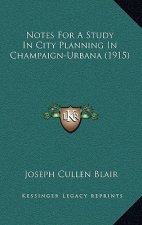 Notes For A Study In City Planning In Champaign-Urbana (1915)